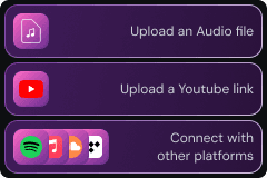 Upload an audio file, YouTube link, or connect other platforms